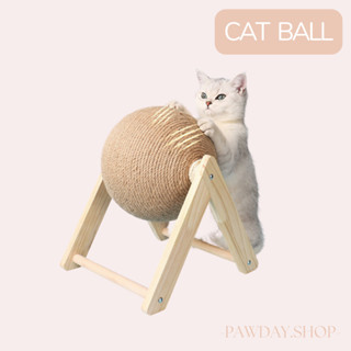 🏐 Cat ball 🏐 ลูกบอลลับเล็บแมว