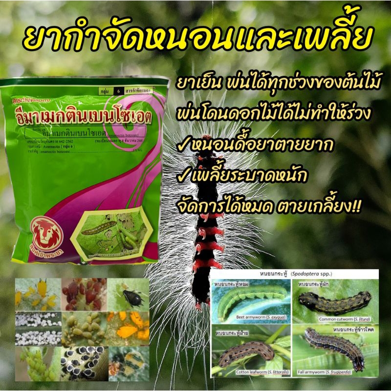ยาฆ่าหนอน ยาฆ่าเพลี้ย *ตัวยาอีมาเมกตินเบนโซเอต*(ซองเขียวตราสิงห์เจ้าพระยา)ขนาด100กรัม