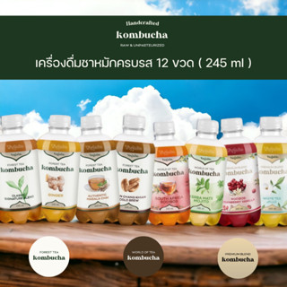 Vegain Kombucha ชาหมักครบรส 3 ซีรีย์ 8 รสชาติ - 12 ขวด (245 ml)