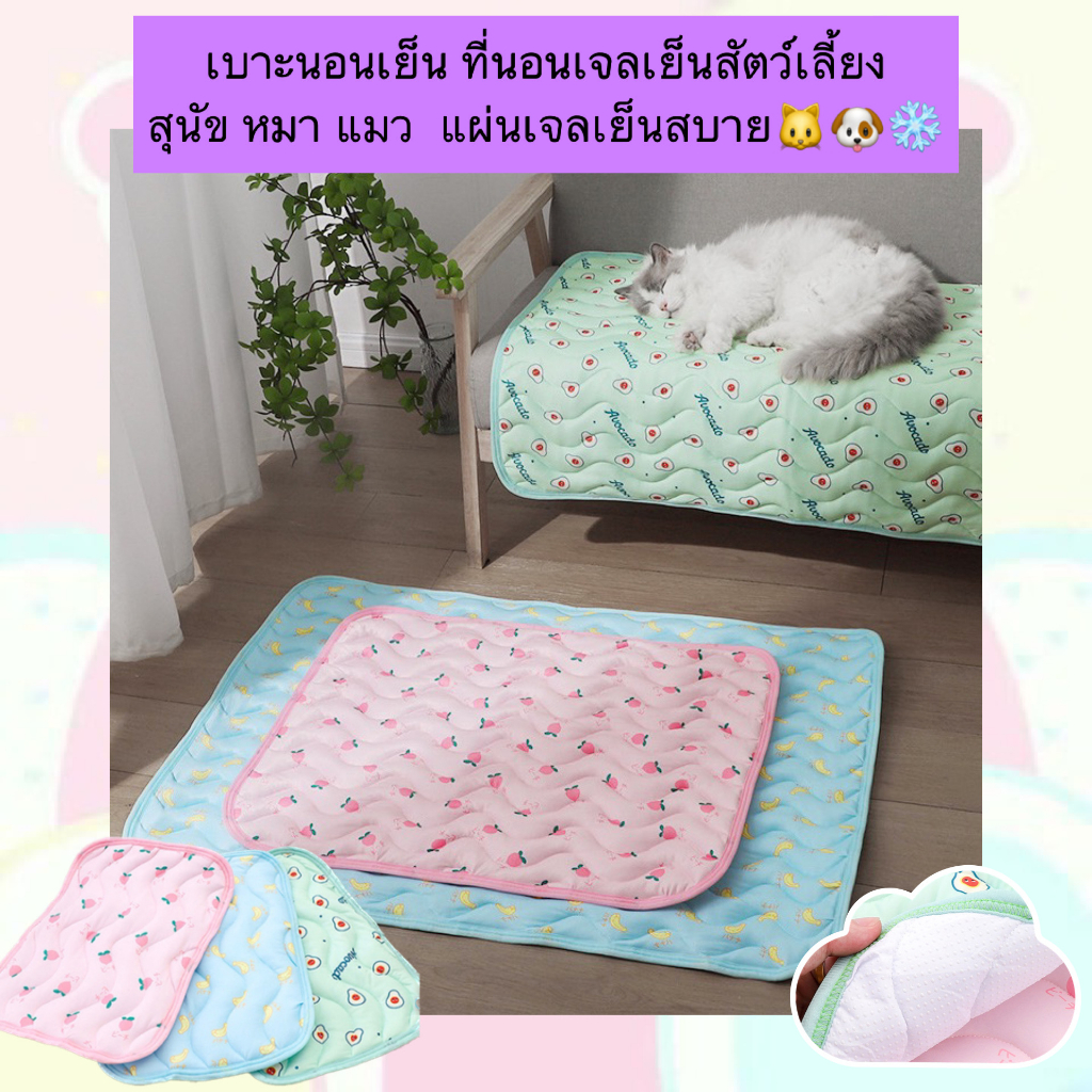 PP-469 เบาะนอนเย็น ที่นอนเจลเย็นสัตว์เลี้ยง สุนัข หมา แมว  แผ่นเจลเย็นสบาย ราคาถูก พร้อมส่ง❄️☃️