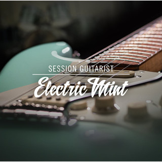 Session Guitarist - Electric Mint VST Kontakt Library | win/Mac | plugins