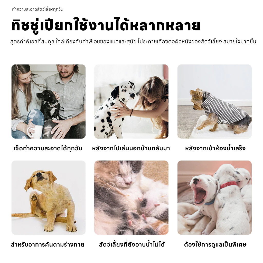 yoyopet ทิชชู่เปียกสัตว์เลี้ยง อ่อนโยนพิเศษ เส้นใยธรรมชาติ thumbnail 8