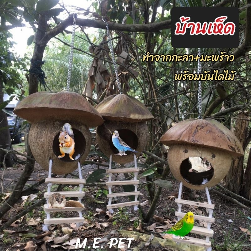 บ้านเห็ด ทำจากกะลามะพร้าว ห้อยกรงได้ สำหรับนก กระรอก ชูการ์ (บ้านเห็ด)