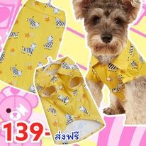 ชุดน้องหมาและแมว เสื้อเชิ้ตเหลืองยีราฟ (ไซส์ระบุในแชท)