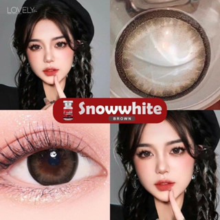 บิ๊กอาย snow white สีน้ำตาลและสีเทา ขนาด 14.5