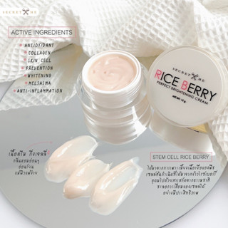 Rice Berry Cream SecretMe ไรซ์เบอร์รี่ครีม ครีมสเต็มเซลล์ข้าวไรซ์เบอร์รี่ ผิวฉ่ำ glass skin ด้วยTexture ผิวที่ดูชุ่มชื้น