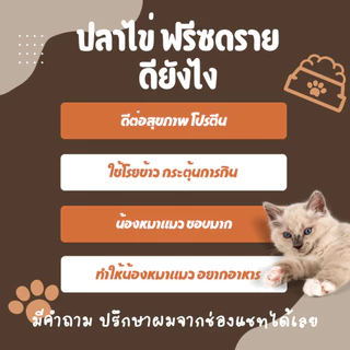 ฟรีซดรายแมว ปลาไข่ฟรีซดราย ปลาไข่ อบแห้ง ฟรีซดราย อบแห้ง ขนมแมว ขนมสุนัข freeze dried pet treat ขนมฟรีซดรายสัตว์ ขนมหมา
