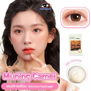 MYFiPN รุ่น Muning Camel🍁 คอนแทคเลนส์รายเดือน สีน้ำตาลเรียบหรู นำเข้าจากเกาหลี🇰🇷 lensfarhang