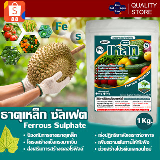 ธาตุเหล็ก ซัลเฟต Ferrous Sulphate ป้องกันใบเหลือง โครงสร้างพืชแข็งแรงขึ้น ขนาด 1 กิโลกรัม