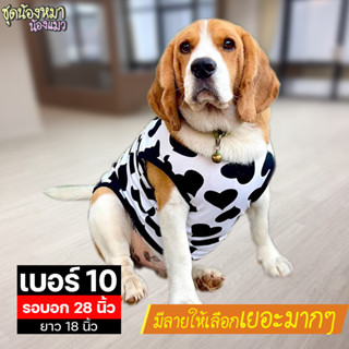 เบอร์ 10 เสื้อน้องหมา รอบอก 28 นิ้ว