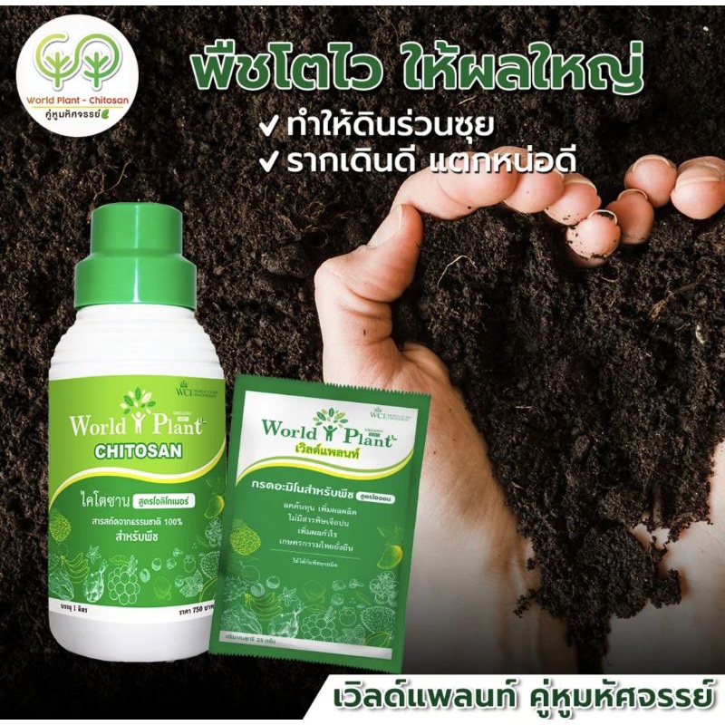 world plant คู่หูมหัศจรรย์ (6ชุด) ชุดคู่หู รับประกันของแท้แน่นอน100%