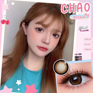 Bigeye Chao gray brown สีเทา สีน้ำตาล คอนเเทคเลนส์กรองเเสง บิ๊กอาย ✅มีเลขที่จดเเจ้งปลอดภัยต่อดวงตา✅