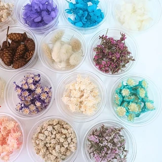ดอกไม้แห้ง สำหรับงานDIY ดอกไม้แห้งมีหลายชนิดพร้อมส่งไม่มีขั้นต่ำ