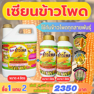 [พร้อมส่ง] เซียนข้าวโพด ซื้อ1แถม2 ฮอร์โมนข้าวโพด ปุ๋ยฉีดข้าวโพด ปุ๋ยทางใบ ฮอร์โมนพืช อาหารพืช ยาฉีดข้าวโพด เร่งฝัก 3