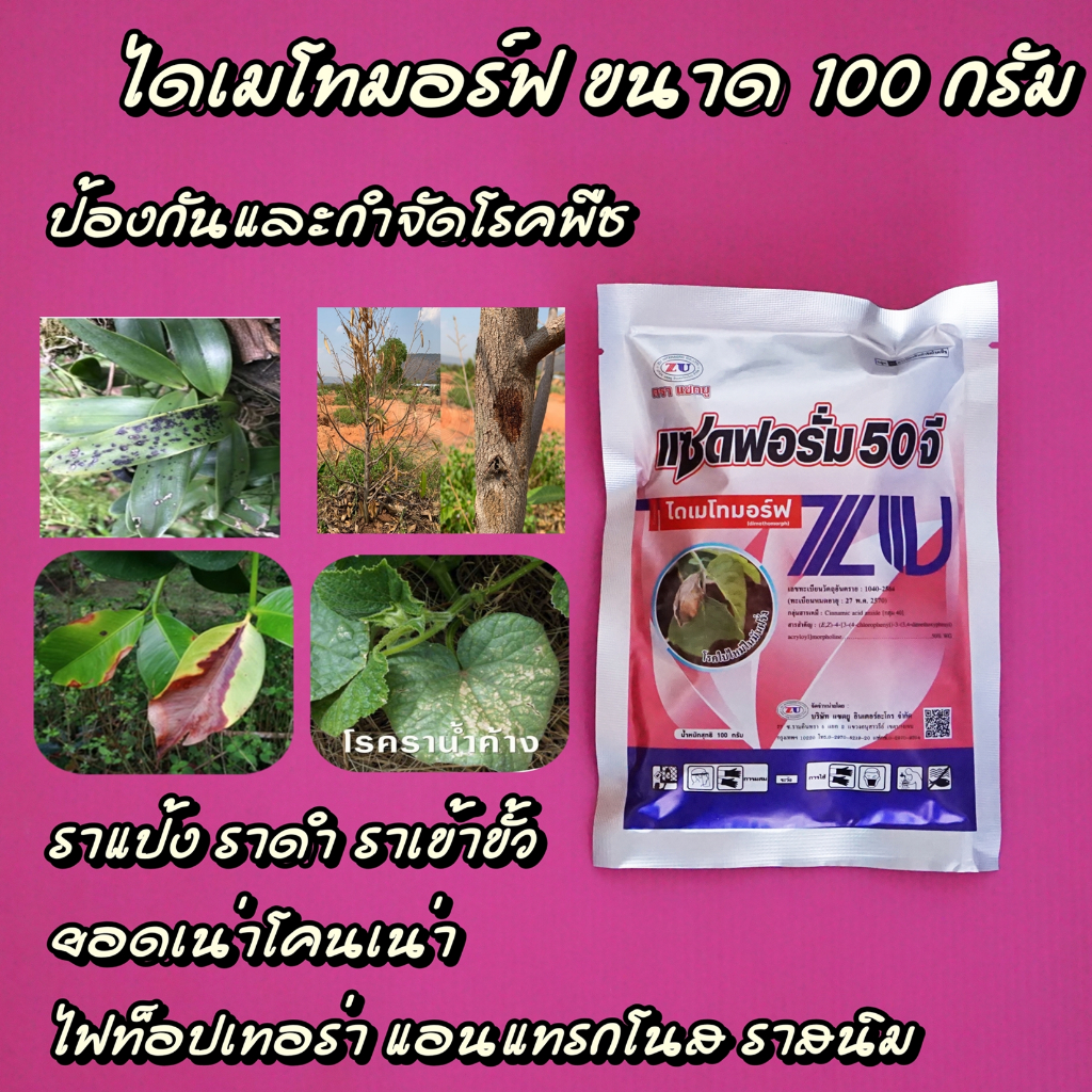 ไดเมโทมอร์ฟ 50 แซดฟอรั่ม #ฟอรั่ม สารป้องกันกำจัดโรคราน้ำค้าง (100 กรัม) ป้องกันเชื้อรา ราน้ำค้าง แอนแทรคโนส ไฟท๊อปเทอร่า