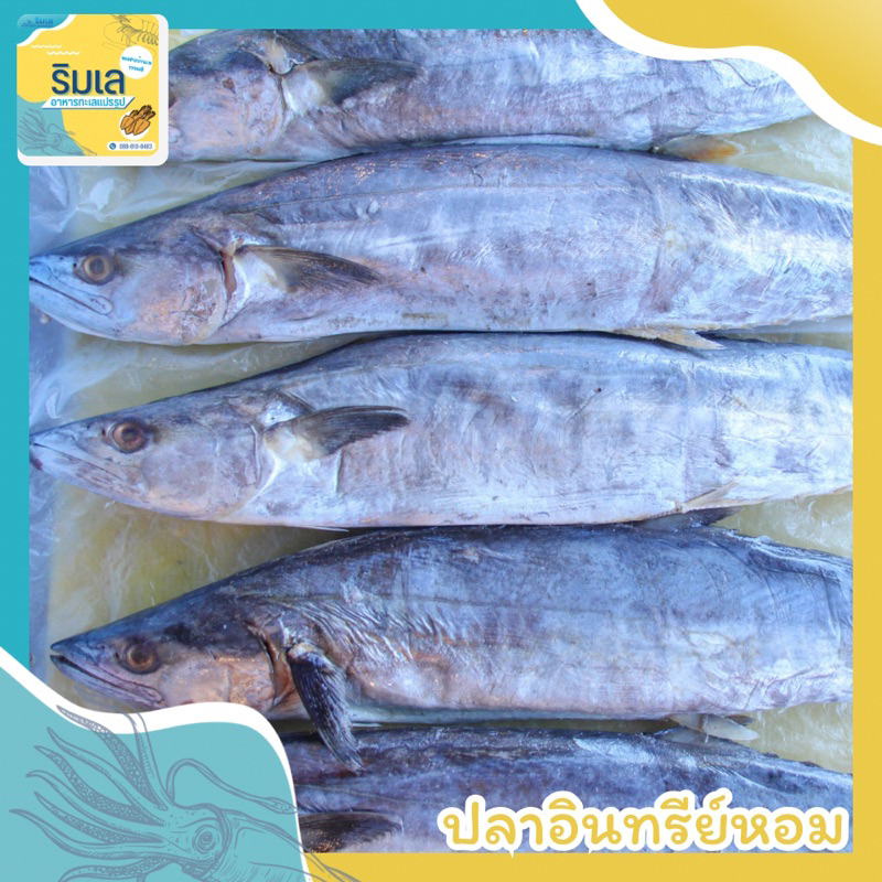 ปลาอินทรีย์หอม น้ำหนัก 1 กิโล หอม ของใหม่ ไม่เค็ม