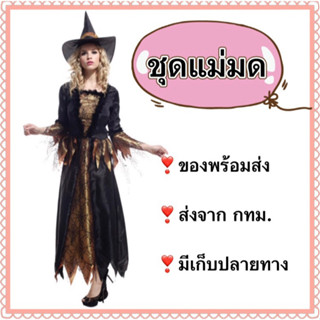 ชุดแม่มด ผู้ใหญ่ ชุดฮาโลวีน witch halloween ฮัลโลวีน ผู้หญิง