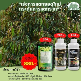 เขาแก้วไฮรู๊ดพลัส(1L)+เอวากรีน(500g)+มาเท็ม(1L)