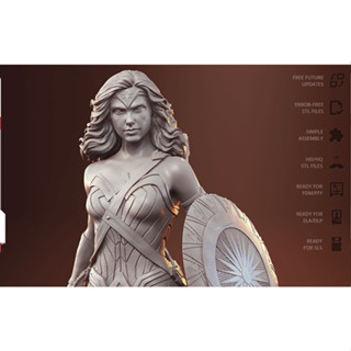 [โมเดลไม่ทำสี] WONDER WOMAN [Gambody] 3D printing model