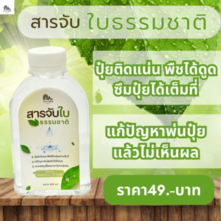 สารจับใบธรรมชาติ ลดปัญหาการชะล้างหน้าฝน