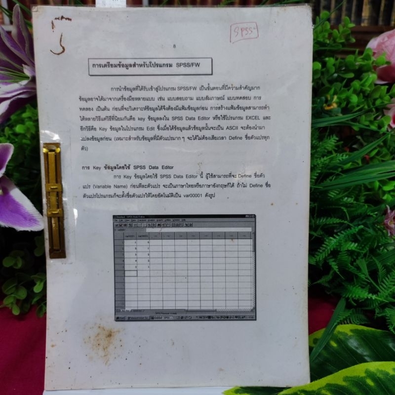 โปรแกรม SPSS_106 หน้า_(หายาก! พร้อมส่ง)