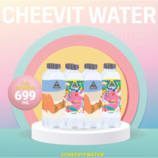 CHEEVIT WATER น้ำดื่มชีวิต ขนาด 699 มล. (1 แพ็ค/12 ขวด)