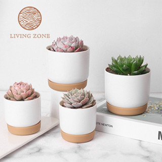 Living Zone 🌵มี 2ขนาด🌵 กระถางต้นไม้มีจานรอง เรียบง่าย สไตล์Minimal