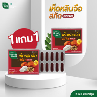 HandyHerb (1แผงแถม1แผง รวม 20 แคปซูล) เห็ดหลินจือสกัด ขนาดแผงคุ้มค่า สมุนไพรเสริมต้านหวัด ทานประจำคุ้มกว่า