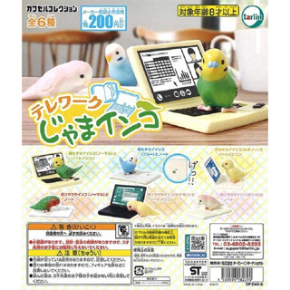 Gashapon Animal Bird Budgerigar Telework Jama Parakeet - กาชาปอง นกหงส์หยก เทเลเวิร์ค