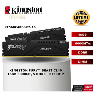 16GB (8GBx2) DDR5 6000MHz RAM (หน่วยความจำ) KINGSTON FURY BEAST DDR5 (BLACK) (KF560C40BBK2-16) -LT