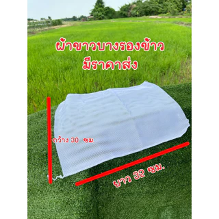 🔥กรอกโค้ด HE4VR2 ลดทันที 15% 🔥กระติ๊บข้าวเหนียวขนาดพกพาและผ้าขาวบางรองข้าว มีราคาส่ง
