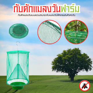 Systano (ส่งจากไทย) ตาข่ายดักแมลงแบบแขวน กับดักแมลงวัน มุ้งเขียวกันศัตรูพืช ตาข่ายสีเขียว No.Y1636