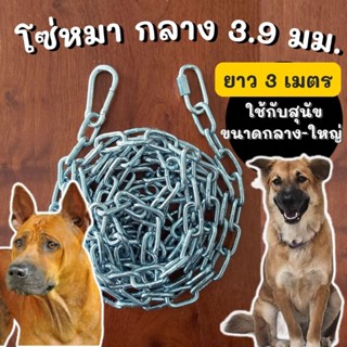 [3 เมตร,กลาง] โซ่หมา หนา 5/32" หรือประมาณ 3.970 มม. โซ่หมาใหญ่ สุนัขใหญ่ โซ่พลัง โซ่สุนัข โซ่ล่ามหมา โซ่ล่ามสุนัข