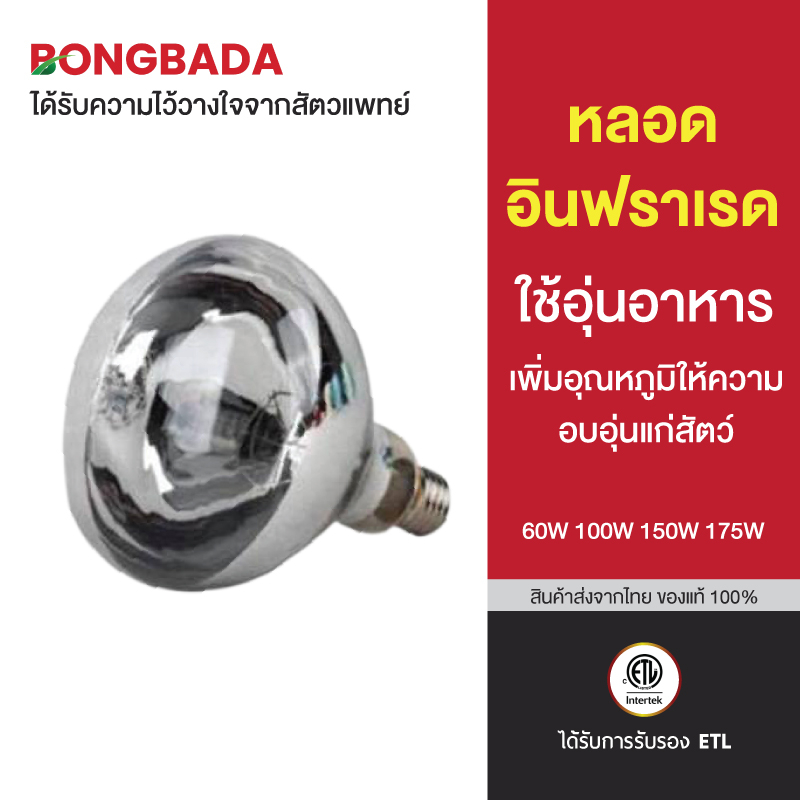 หลอดไฟอินฟาเรด 250W  แสงสีเหลือง หลอดไฟอุ่นอาหาร ไฟอุ่นอาหาร ไลน์บุฟเฟ่ ใช้ในคาเฟ่ ร้านอาหาร โรงแรม