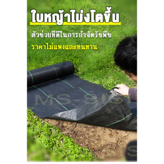 ผ้าคลุมดินพลาสติกหนา ป้องกันวัชพืช หลายขนาดให้เลือก สำหรับสวนเกษตรกลางแจ้ง