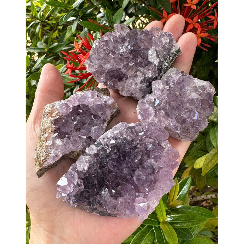 1 PC Random Pick Raw amethyst cluster druzy collection natural amethyst, amethyst cluster, amethyst geode, amethyst