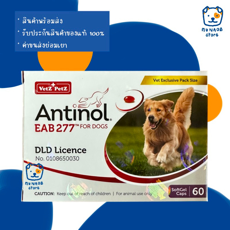 Antinol Dog 60 Caps อาหารเสริมบำรุงข้อสำหรับสุนัข (หมดอายุ 01/2026)