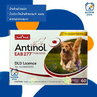 Antinol Dog 60 Caps อาหารเสริมบำรุงข้อสำหรับสุนัข (หมดอายุ 12/2024)