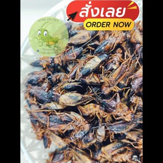 จิ้งหรีดไข่แช่แข็ง ขนาด1กิโลกรัม (1000กรัม)