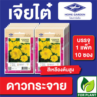 เมล็ดพันธุ์ ดอกไม้ เจียไต๋ CT25 ดาวกระจายสีเหลืองต้นสูง บรรจุแพ็คล่ะ 10 ซอง ราคา 160 บาท