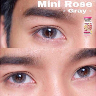 🥦Mini Rose Brown,Gray🥦สายตาปกติ(kitty kawaii)