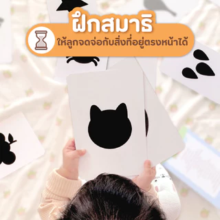 Newborn Flash Card | Little Monster | แฟลชการ์ด ขาวดำกระตุ้นพัฒนาการ 0-6 เดือน | การ์ดเด็กทารกแรกเกิด