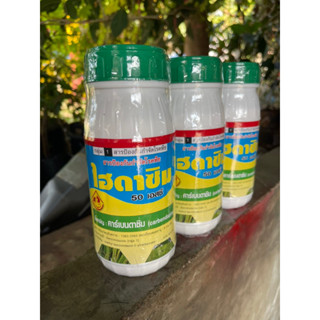 สารป้องกันเชื้อราในพืช คาร์เบนดาซิม โรคใบจุด Prevent Leaf spot 1L