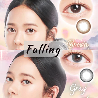 🌸Falling Gray / Brown : Kitty Kawaii สายตาปกติ ถึง -10.00 Size M