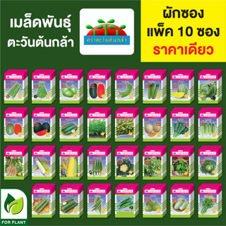 เมล็ดพันธุ์ผัก ผักซอง ตราตะวันต้นกล้า บรรจุแพ็คล่ะ 10 ซอง ราคา 64 บาท **คละชนิดได้**