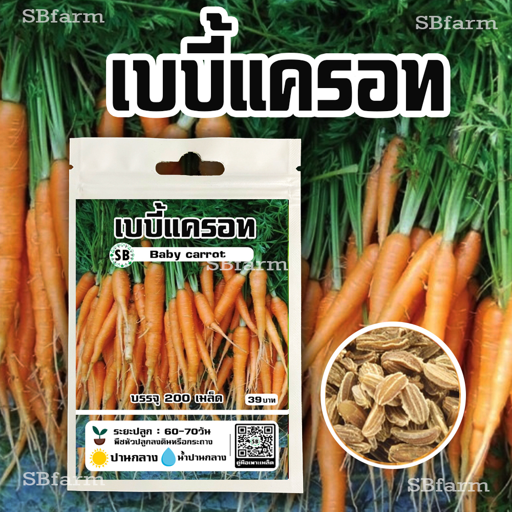 เบบี้แครอท (Baby carrot) 200เมล็ด/ซอง โปรโมชั่น [ซื้อ 2 แถม 1ซอง]