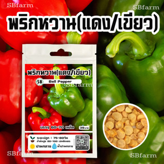 เมล็ดพริกหวาน (แดง/เขียว) 60-70 เมล็ด/ซอง 🔥โปรโมชั่น [ซื้อ 3แถม 1ซอง]