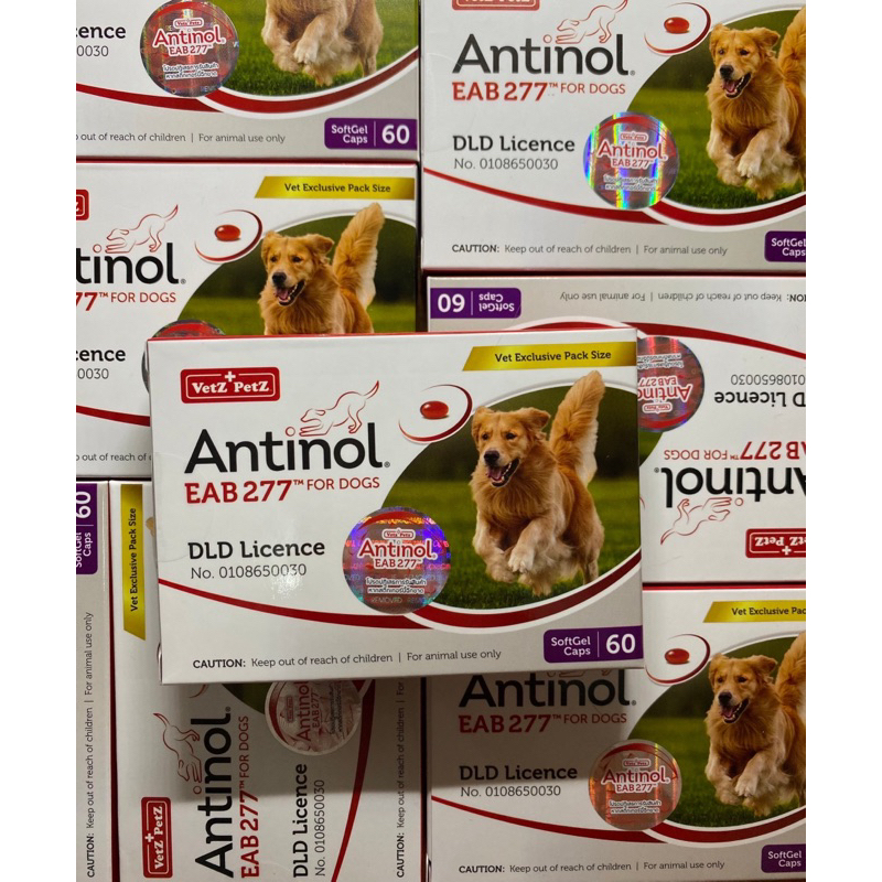 Antinol อาหารเสริมไขมันสำหรับสุนัขและแมว "สูตรใหม่"