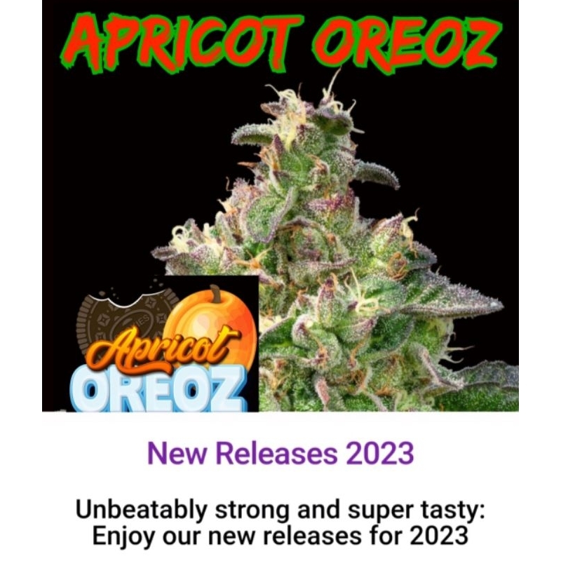 กิ่งชำ กิ่งโคลนนิ่ง 4แถม1 คละสายพันธุ์ได้ Apricot OREOZ ค่ายANESIA SEEDS ค่ายแท้100%