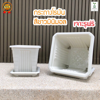 ราคาถูกและหนา กระถางเหลี่ยมทรงโรมันมีขายกสูง หนา 7"/10" /14นิ้ว สีขาว